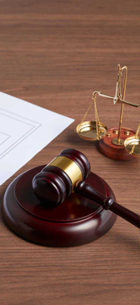 Specialist legal support